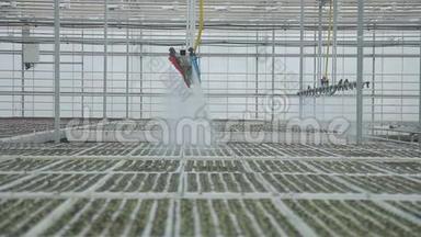 采用顶部自动浇水的大型工业温室